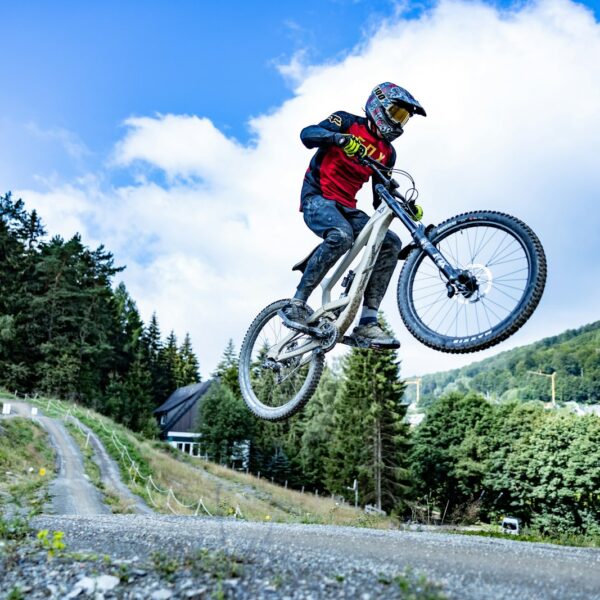 Trilha Downhill Pro