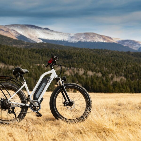 Trilha E-MTB Power