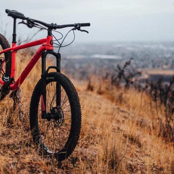 Trilha XC Race 29